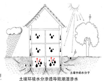 2025新澳门原料免费