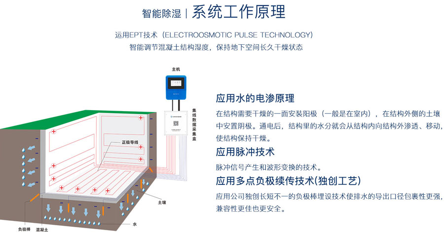 2025新澳门原料免费