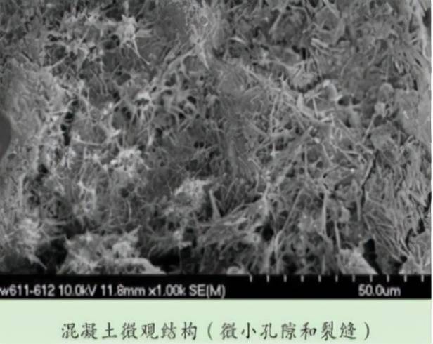 2025新澳门原料免费