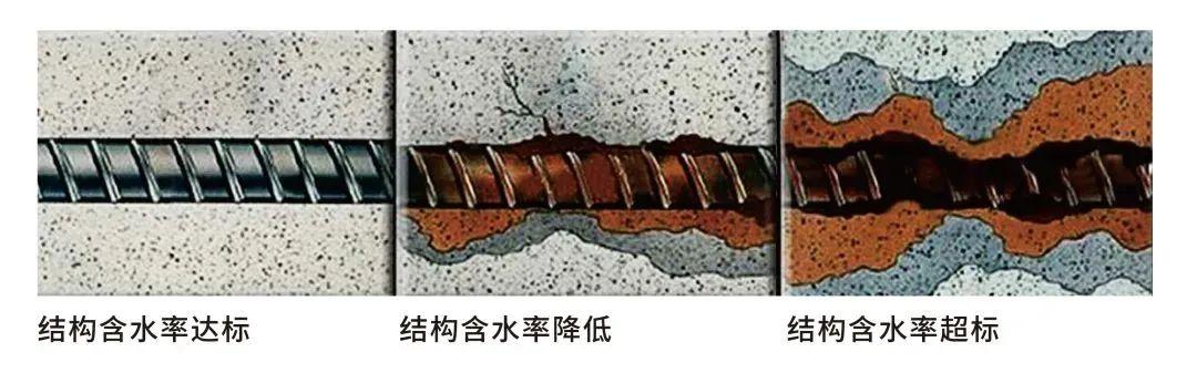 2025新澳门原料免费